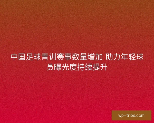 中国足球青训赛事数量增加 助力年轻球员曝光度持续提升